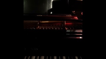 Thumbnail of Song: Cranes