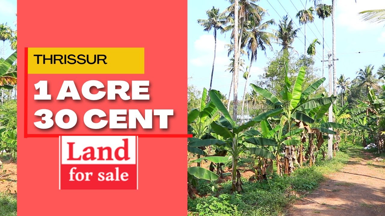 LAND FOR SALE IN THRISSURRESIDENTIAL LAND IN MALAaboobaker tcr 25 01