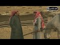 عايد مسلسل رجوة شايش النعيمي