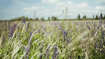 Journey Into Tech Startups: A Guide To Watch The Industry Titans Of Tomorrow