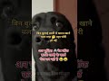 dog joks.. #dogjoks #ytshorts #comedyeffect #comedyvideo #animals #funny #funshort #meames #dogmeme