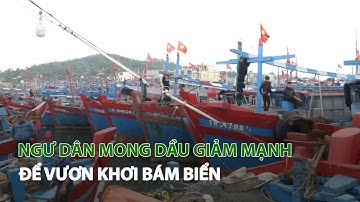 Ngư dân mong Dầu giảm mạnh để vươn khơi bám biển| VTC14