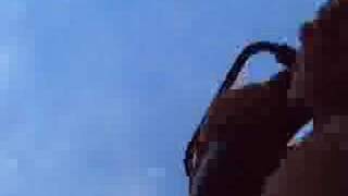 robin python efteling