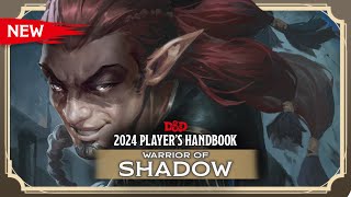 Monk: Warrior of Shadow | 2024 Player's Handbook | D&D
