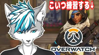 【OverWatch】スリープダーツ上手くなりたいんや！！