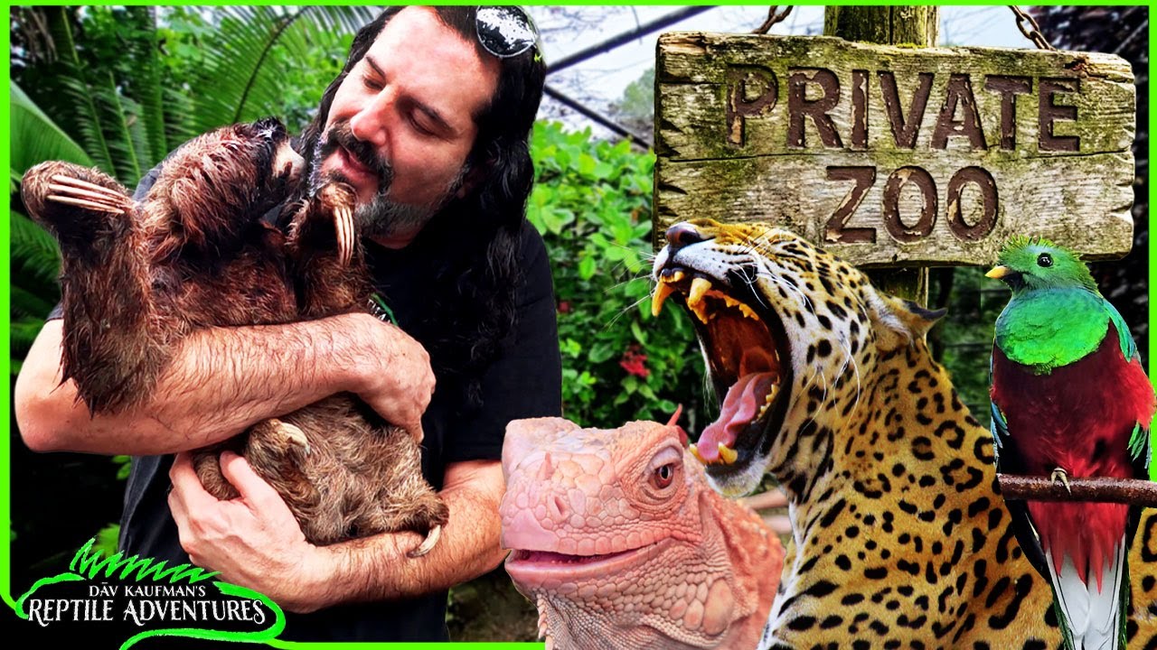 Touring a Private Multi-million Dollar Zoo in Panama!