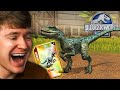 Hatching VELOCIRAPTOR BLUE in JURASSIC WORLD THE GAME