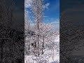 Mesmerizing beauty of kashmir shorts beauty kashmir nature snowfall new reels vibes winters