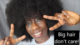 HOW TO | SIGNATURE HUGE AFRO #afrohair #realhair #bighair #blackhair #africannaturals #naturalhair