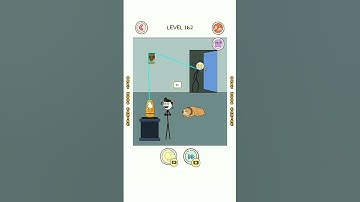 Thief Puzzle Level 162