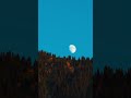 Moonrise Over the Pines — A Magical Mountain Moment