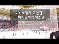 [2018 정기 고연전/연고전] 아이스하키 종료 8초전 역전승 실화?! (동점/역전 득점 순간 / 뱃노래)