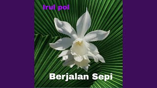 Berjalan Sepi