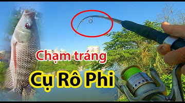 BẮT CÁ RÔ PHI KHỦNG Ở HỒ  TỰ NHIÊN -  Fishing Tilapia So Easy