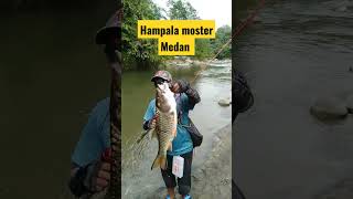 Hampala monster sungai namorambe Medan, meledak💥#shorts