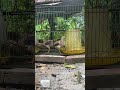 Day 4: The Art of Patience