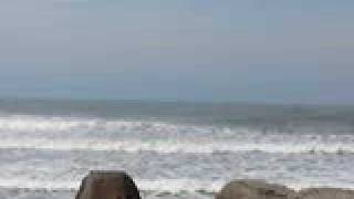 20090929松柏退潮02