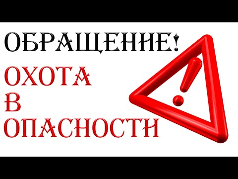 Подводный охотник Беларуси! Нужна твоя помощь