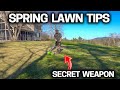 Simple lawn tips for a great lawn this spring