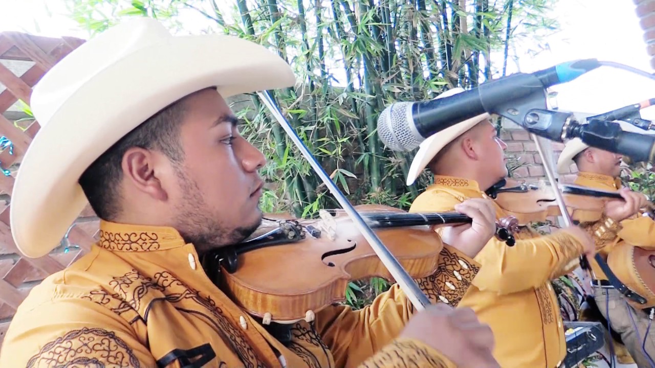 Huapango Arribeño Cacho y sus Ases la Burra Orejona y El Son de la Rabia