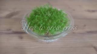 Watch Cress Diy video