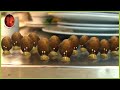 Twelve Angry Snails 🐌 Minuscule | 60' Compilation