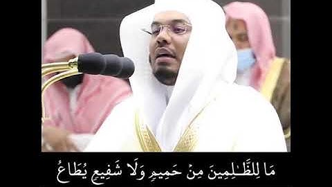 تلاوة رائعة للشيخ ياسر إمام الحرم المكي #قرآن  #قرآن_كريم #الشيخ_ياسر #ياسر_الدوسري #تلاوات #ياسر