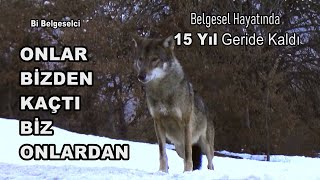 ONLAR BİZDEN KAÇTI BİZ ONLARDAN - Kurtlar Bizden Biz Onlardan Kaçtık / We ran from wolves and escape