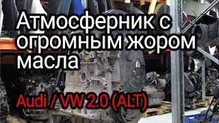 5 valves per cylinder and oil consumption: what is wrong with the Audi / VW 2.0 engine (ALT)? Subs!