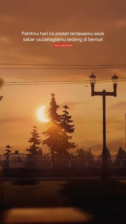 Story Wa Senja 30 Detik | Anime Sad | Quotes ✨ Sebelum Kamu Pergi