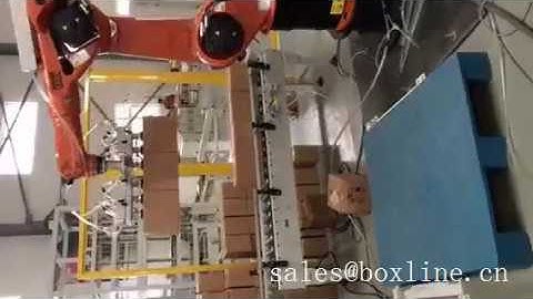 Custom-made Kuka 6 axis robot Robotic Palletizer for Cases Stacking Carton palletization