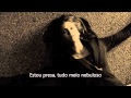 Damon &amp; Elena- The heart wants what it wants (tradução) -Selena Gomez