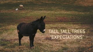 Watch Tall Tall Trees Expectations video