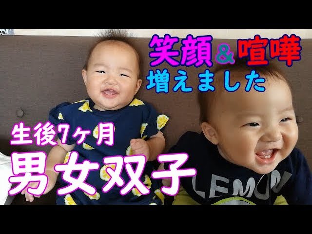 男女双子 最近笑顔と喧嘩が増えてきた 生後7ヶ月 Mix Twins Casual Daily Life Youtube