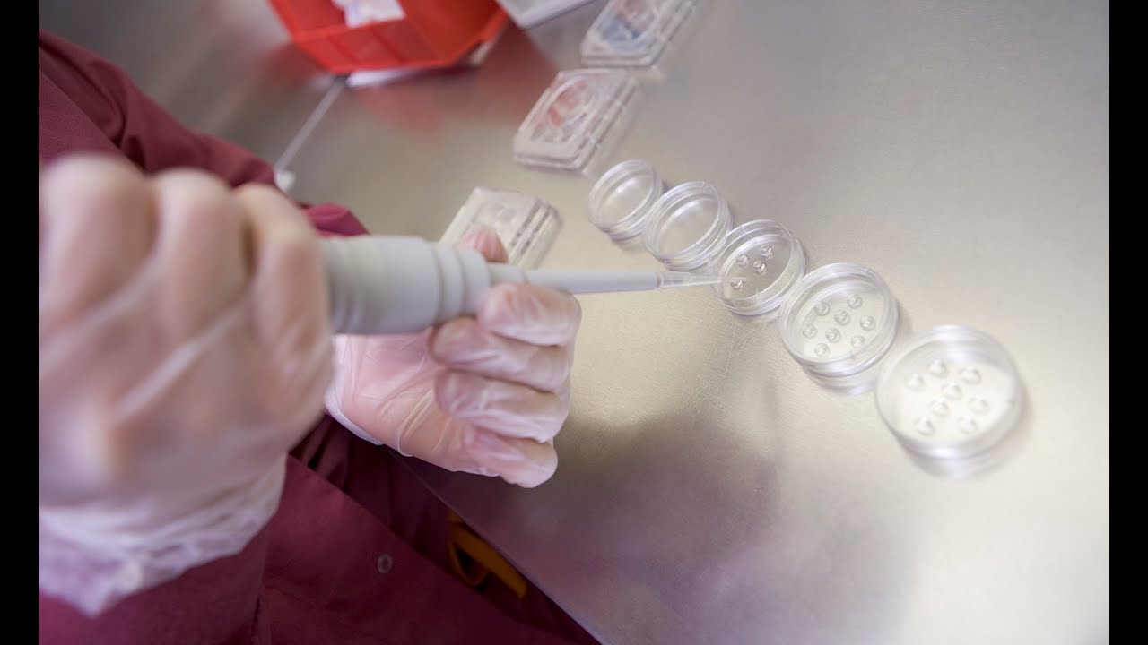 Fertility Treatments Raise Mothers’ Risks of Health Problems in Delivery