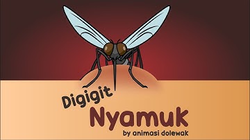Kenapa Digigit Nyamuk Bisa Bentol dan Gatal - Animasi Edukasi