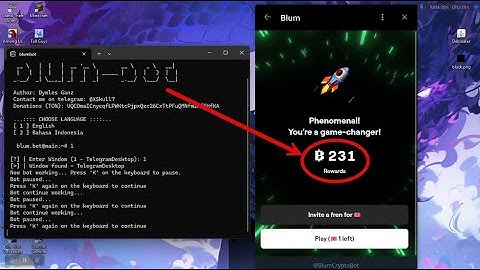 Auto Clicker Script for BLUM on PC