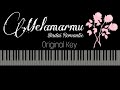 Download Lagu Melamarmu Badai Romantic... MP3 Gratis