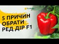 ЧОМУ СЛІД ОБРАТИ ПЕРЕЦЬ РЕД ДІР F1?