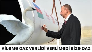 Ailəmə Qaz Verlidi Verlimədi Bizə Qaz - Şair Tofiq Həsənli