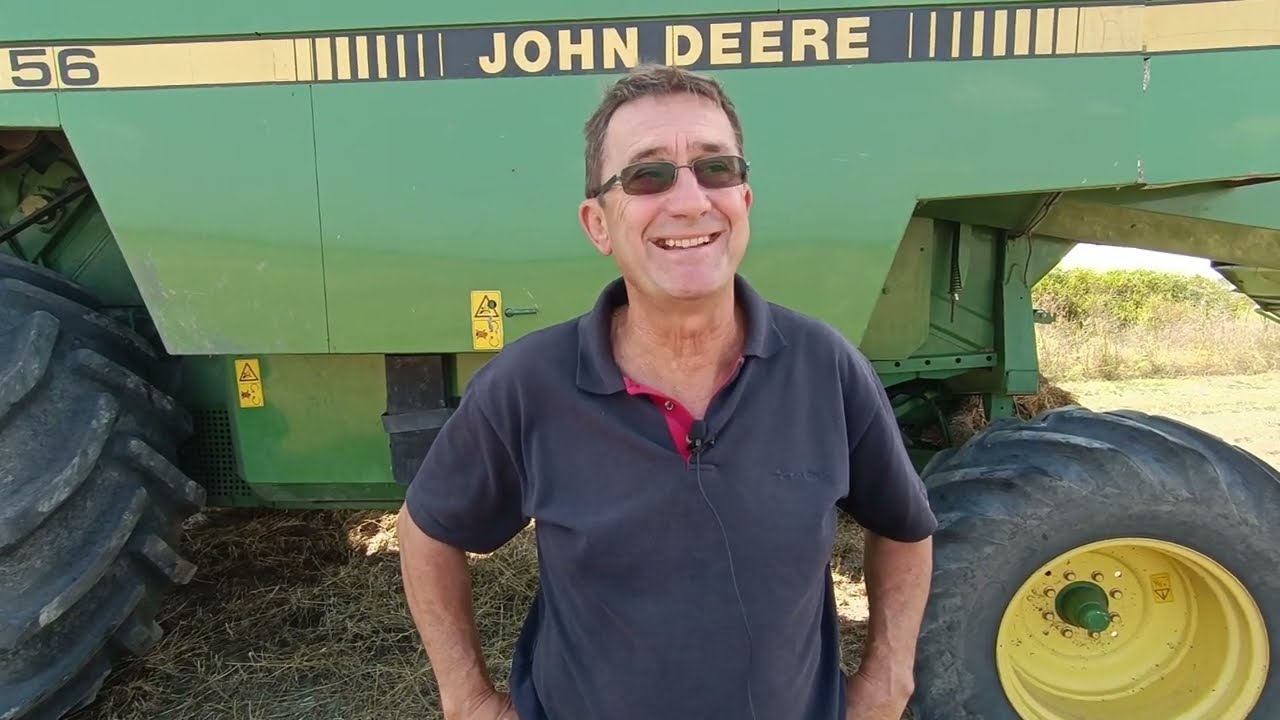 KOD MRDJE U ASANJI ZETVA SEMENSKE LUCERKE