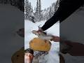 #cooking #fishing #usa #shortvideo