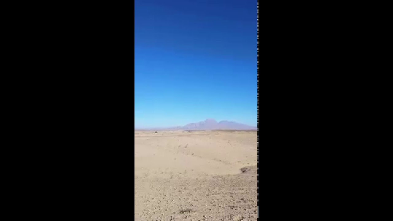 Racing pigeons toss from 65 km