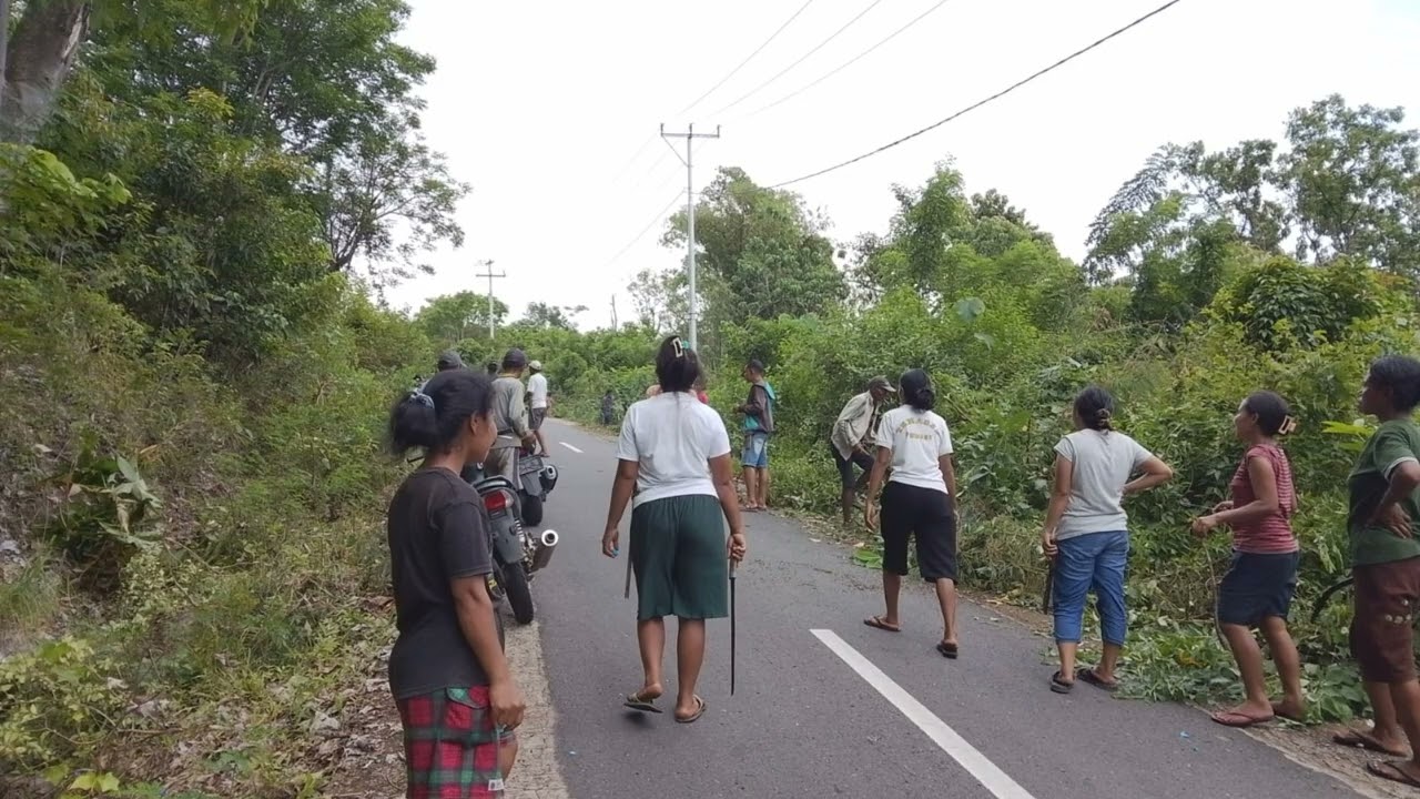 Aneka Giat Pembangunan dan pelayanan masyarakat Kecamatan Satarmese Barat 2026