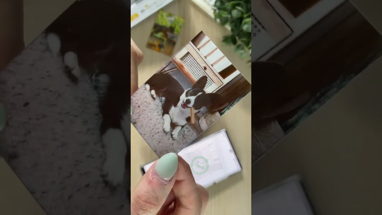 Bring a mini photo booth home!🖨 