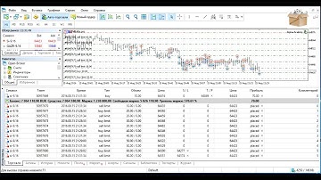 Торговые роботы. Скальпинг. Sigma-Scalping. Метатрейдер 5