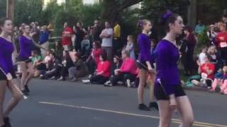 Festival- Parade in Ithaca NY.June 2, 2017