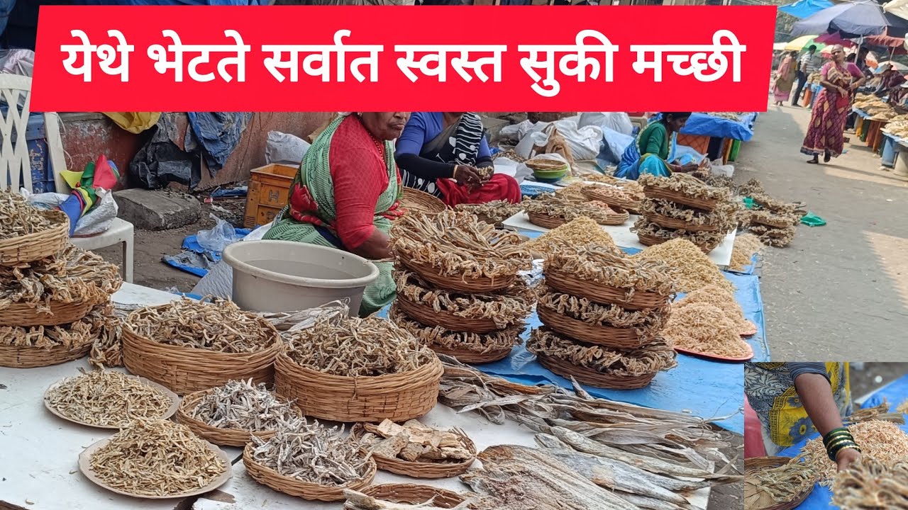 सर्वात स्वस्त होलसेल सुखी मच्छी बाजार | सुकट 100 ला वाटा बोंबील 200 रुपये वाटा | Dry fish market