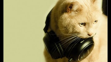 TRINITY RUST HIGHLIGHT 198 DEVBLOG