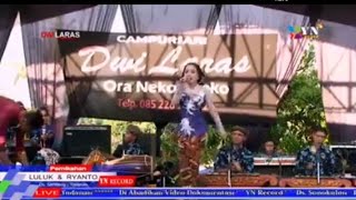 Langgam